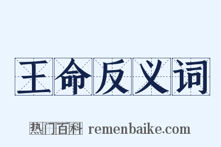 王命反义词是什么意思的图片